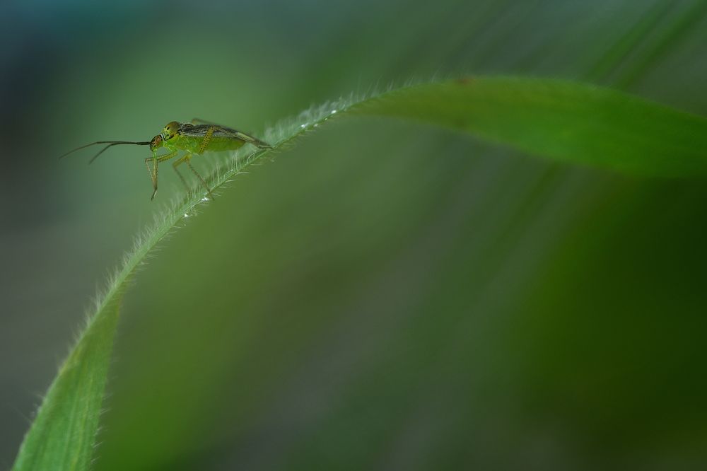 Photograph by Pepe Badia Marrero