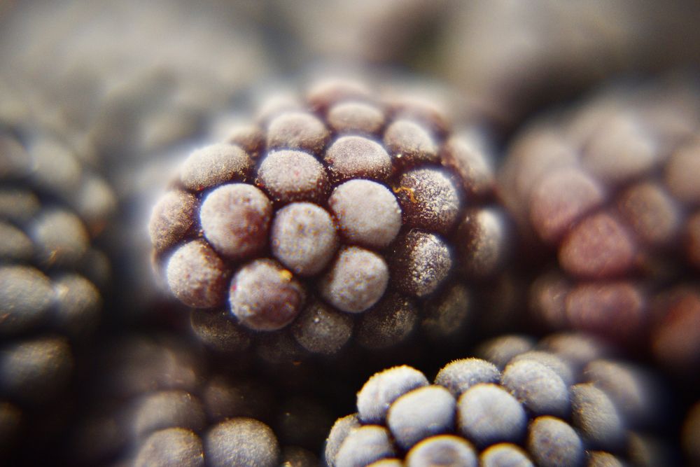 Photograph by Оксана Астрова