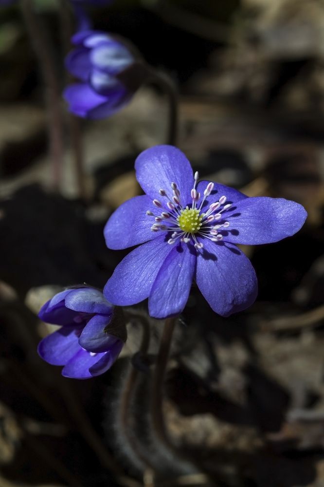 Photograph by Ольга Крючкова