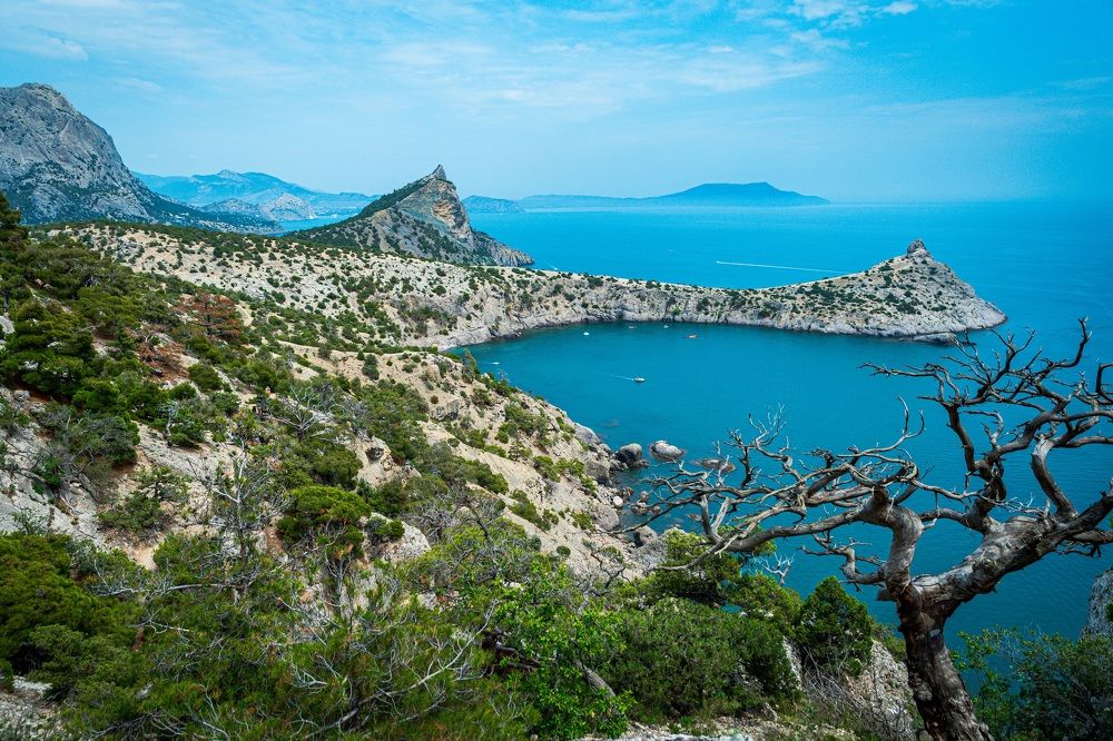 Photograph by Андрей Пшеничников