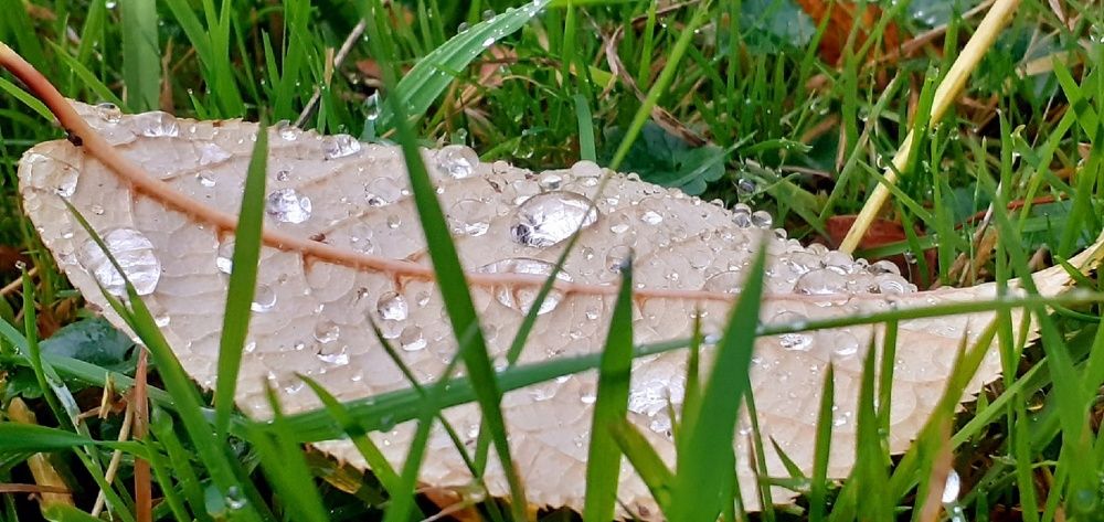 Photograph by Евгения Ульянова