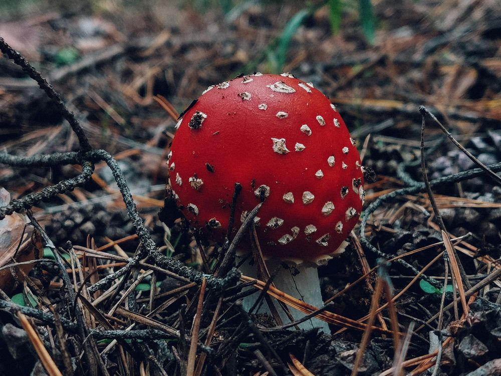 Photograph by Данил Батурин