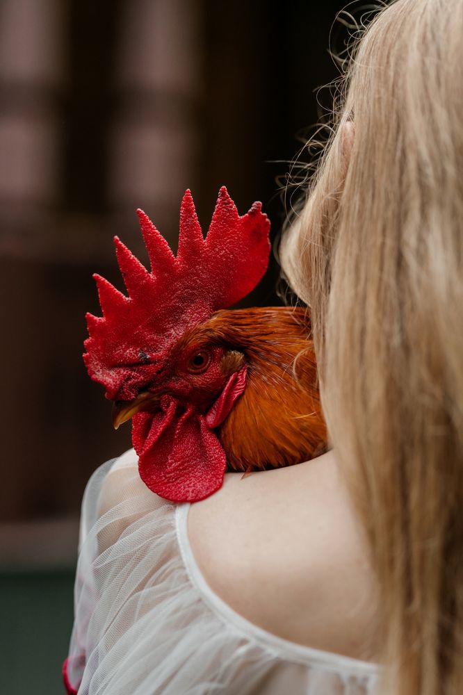 Photograph by Наталья Сидорова