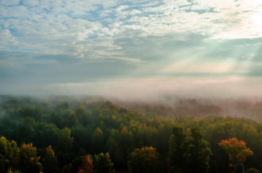 Photograph by Елена Аверина