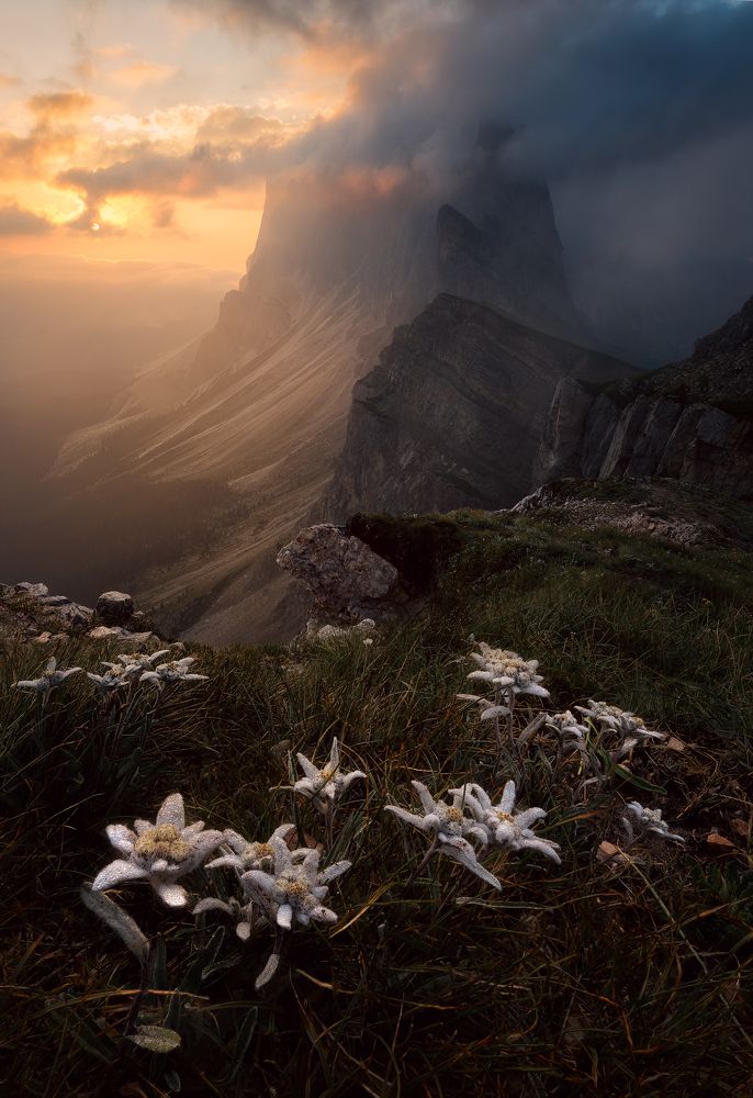 Photograph by Nicola Campanella