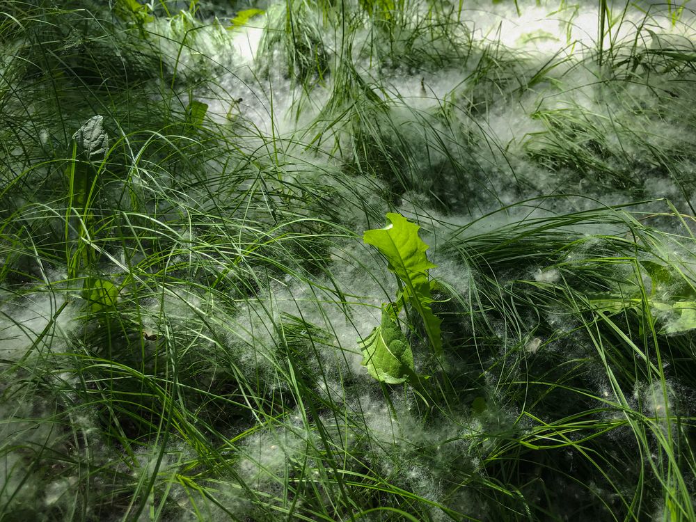 Photograph by Димитрий Осинцев