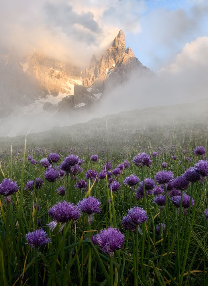 Photograph by Nicola Campanella