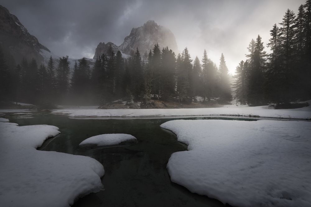 Photograph by Nicola Campanella