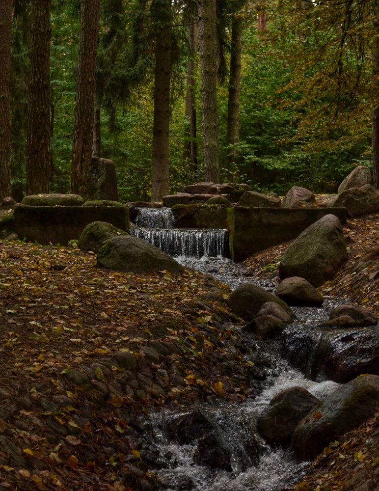 Photograph by Инесса Громова