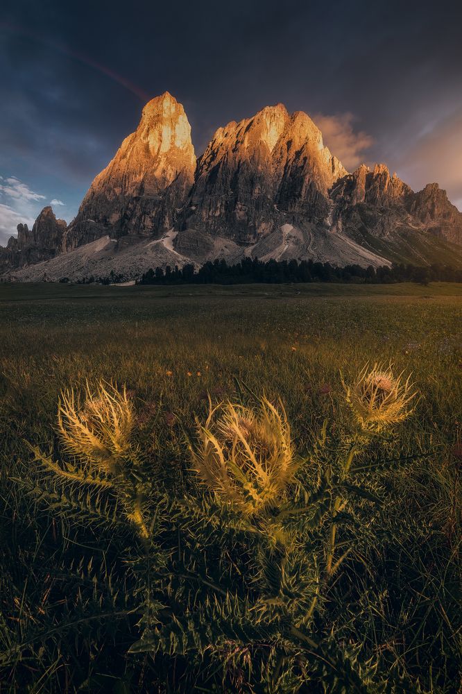 Photograph by Nicola Campanella