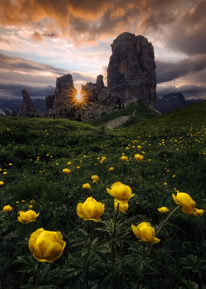 Photograph by Nicola Campanella