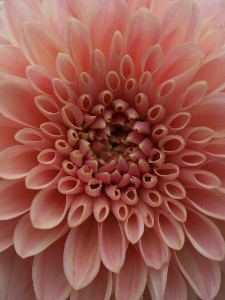 Photograph by Серегина Ирина