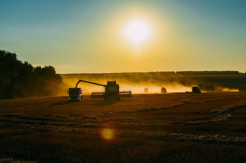 Photograph by Елена Си