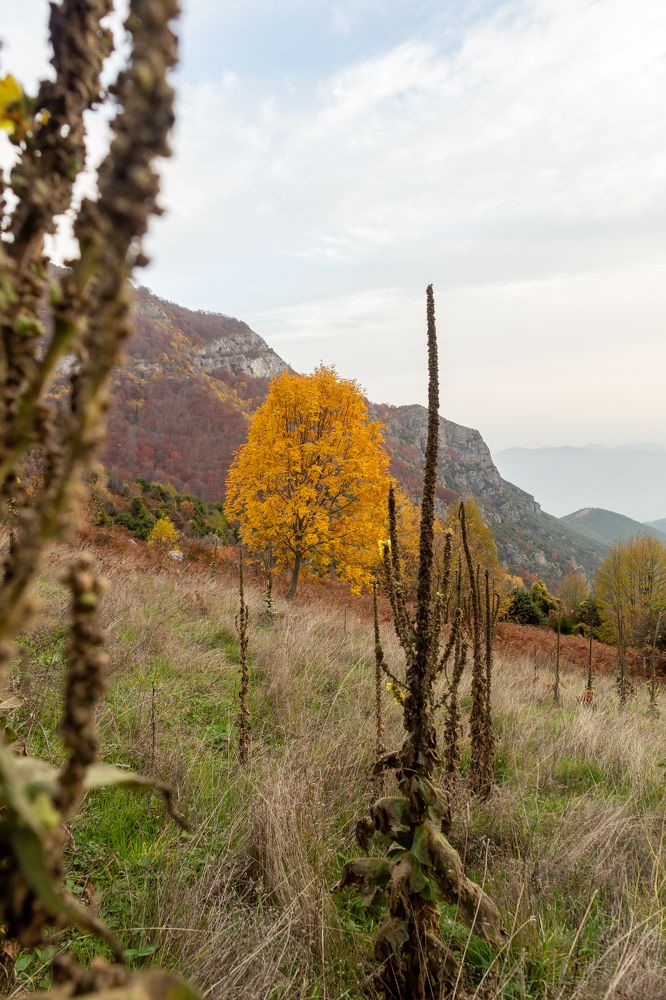 Photograph by Evgeny Ruban