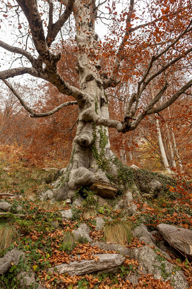 Photograph by Evgeny Ruban