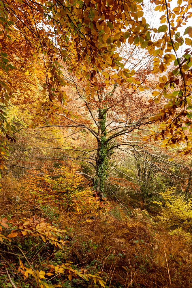 Photograph by Evgeny Ruban