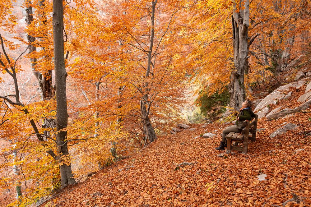 Photograph by Evgeny Ruban