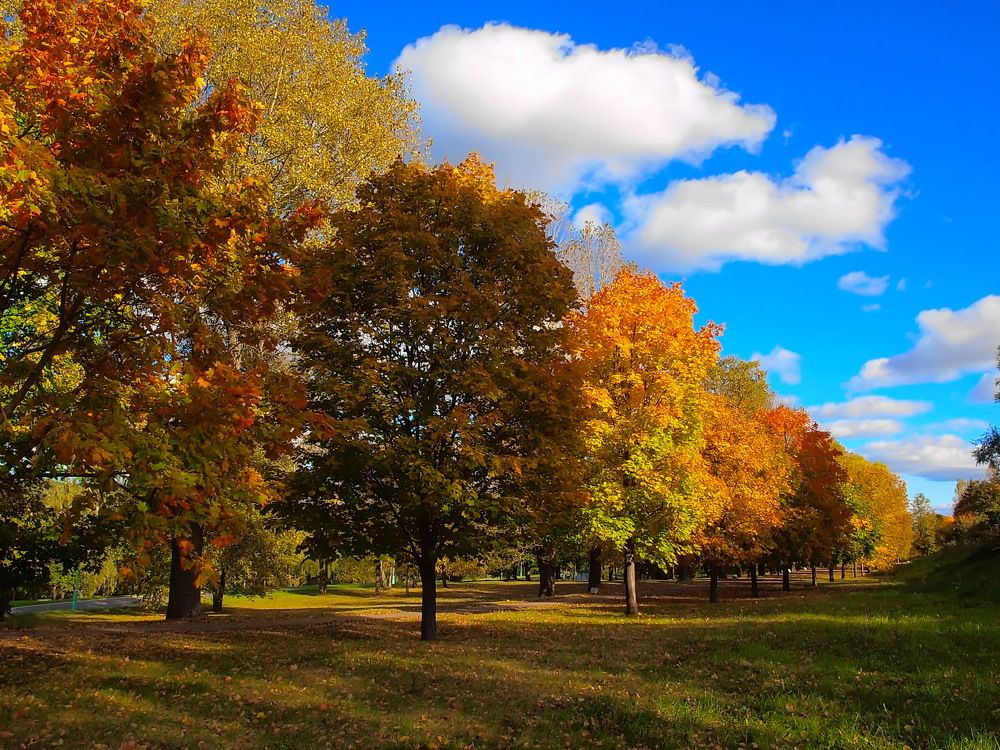 Photograph by Игорь Чеботарёв