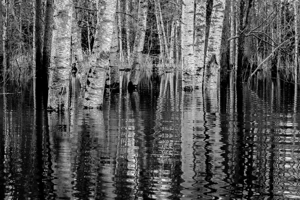 Photograph by Виктор Рыков