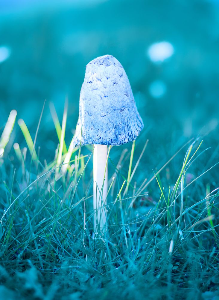 Photograph by Анна Малютина