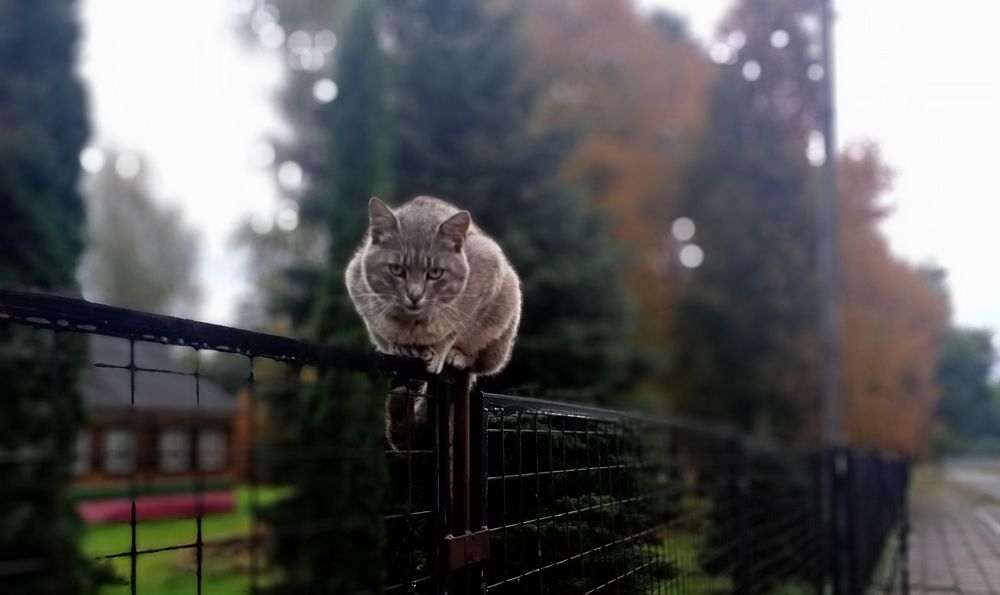 Photograph by Анастасия