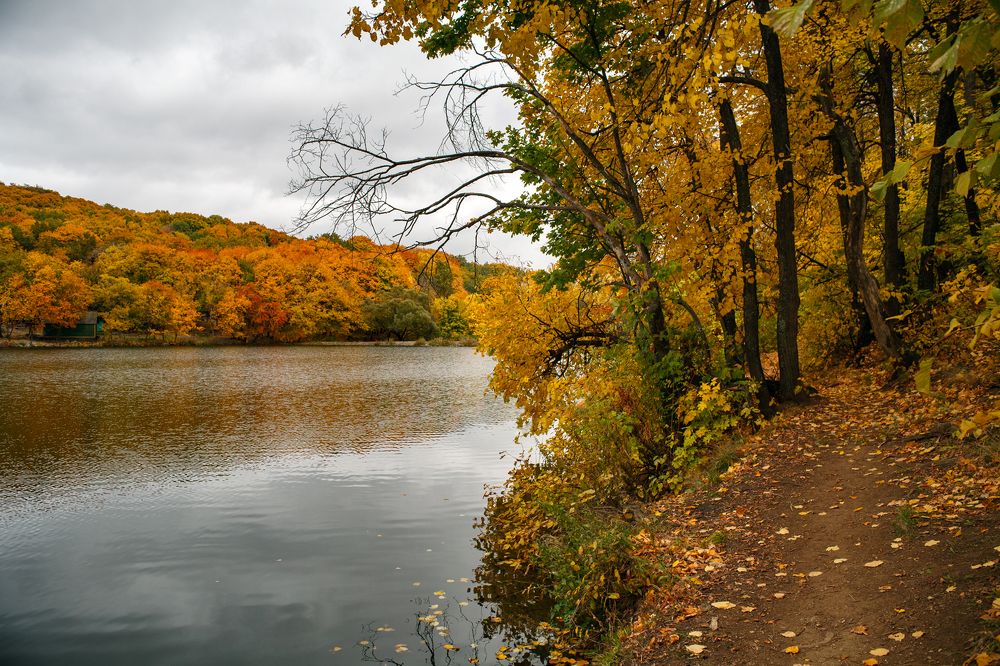 Осенний пруд