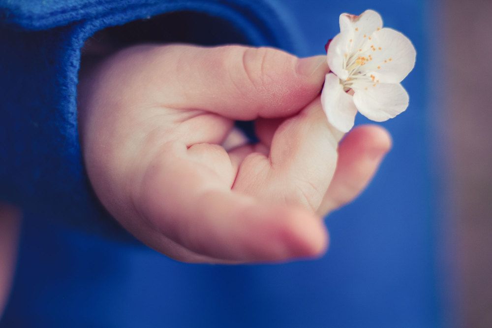 Цветок весны