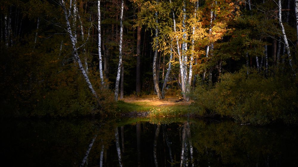 Photograph by сергей воробьёв