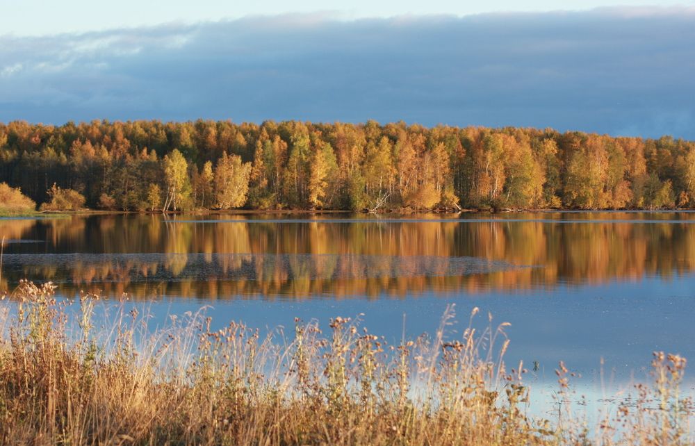 Фотография автора Nelya  Lysenko