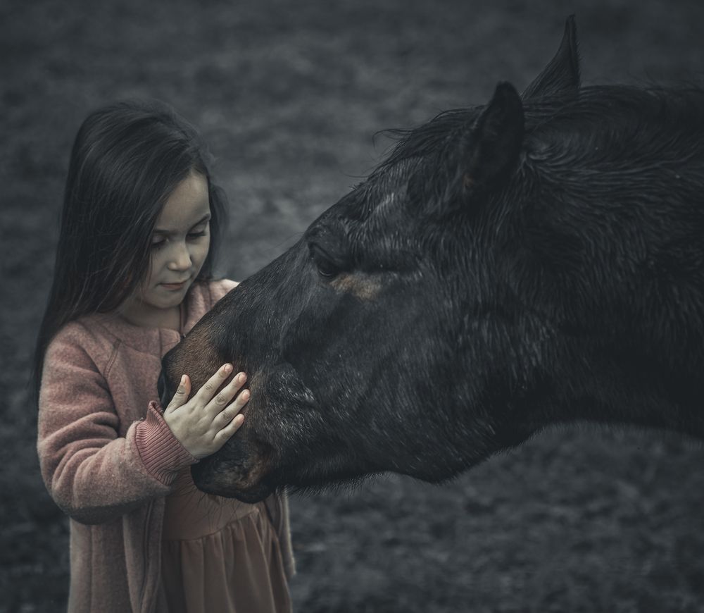 Связанные доверием