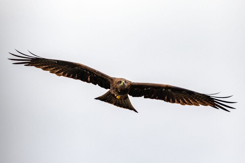 Photograph by Gulam Mohiuddin Chandiwala