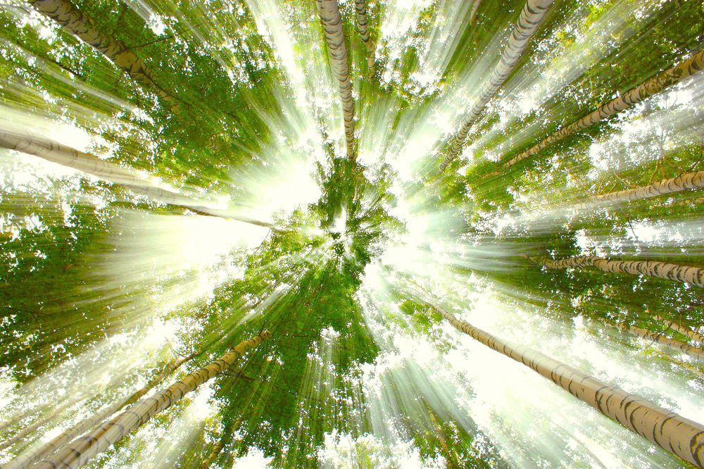 Photograph by Ольга Заболотская