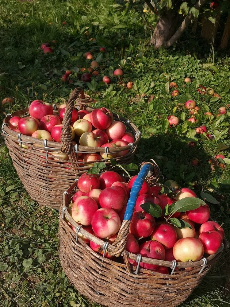 Photograph by Екатерина Борисовна Кузьмина