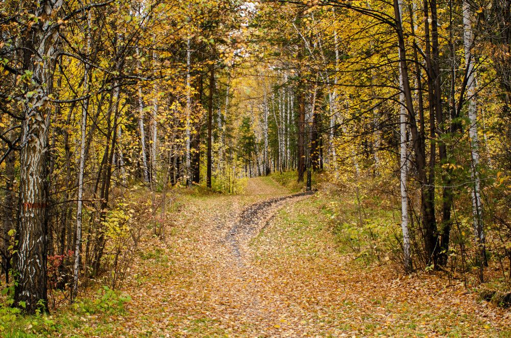 Photograph by Вадим Басов