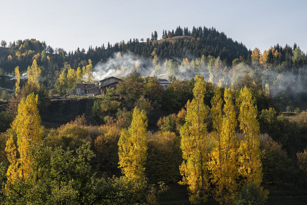 Фотография автора Fikriye Er