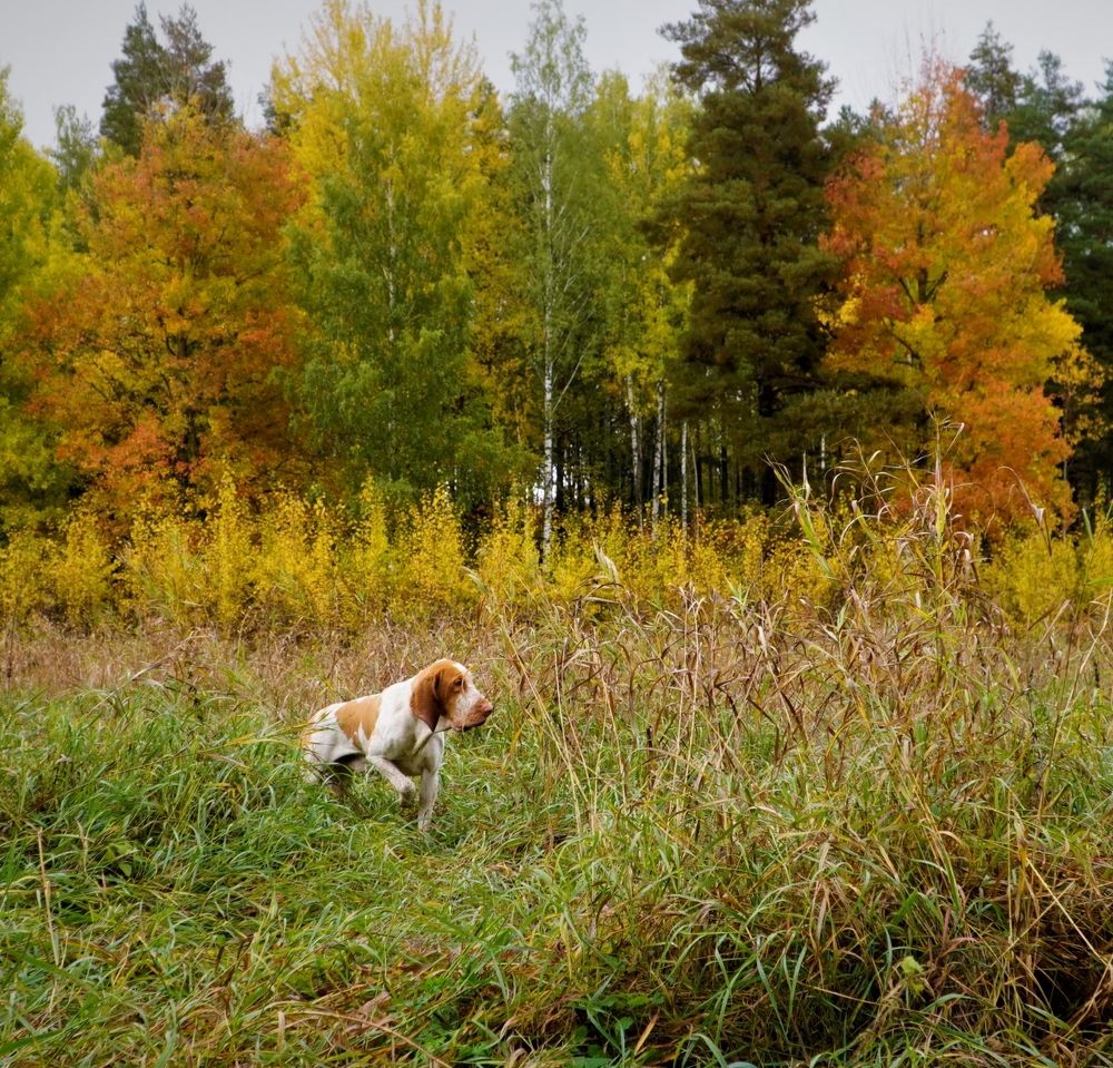 Photograph by Марина Безенкина