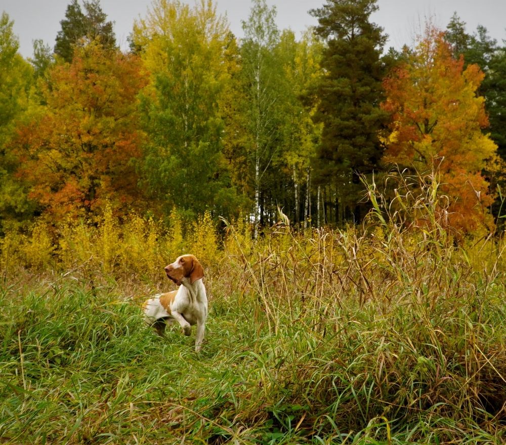 Photograph by Марина Безенкина