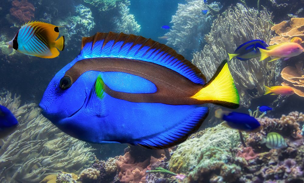 Photograph by daniel peterburg