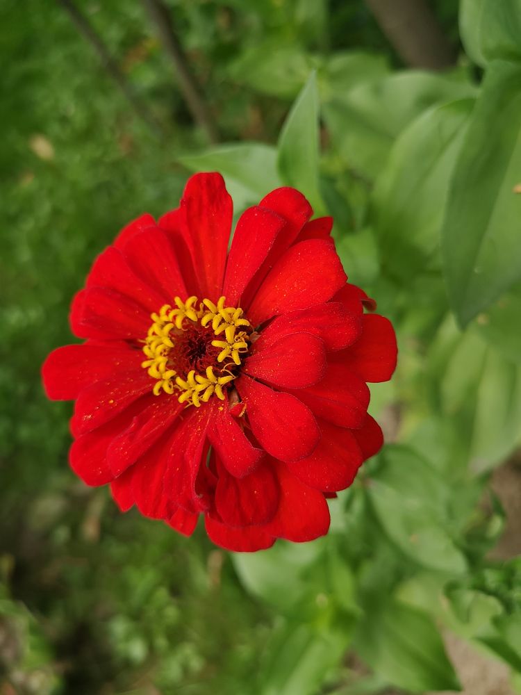 Photograph by Екатерина Борисовна Кузьмина