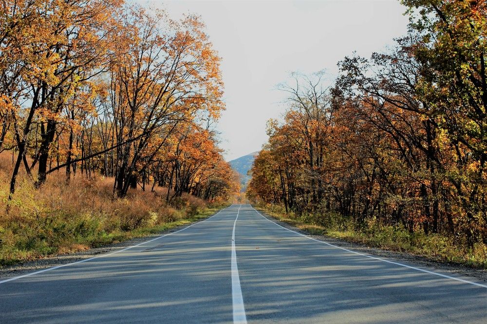 Photograph by Переверзева Татьяна