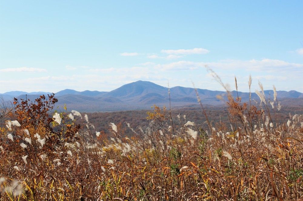 Photograph by Переверзева Татьяна