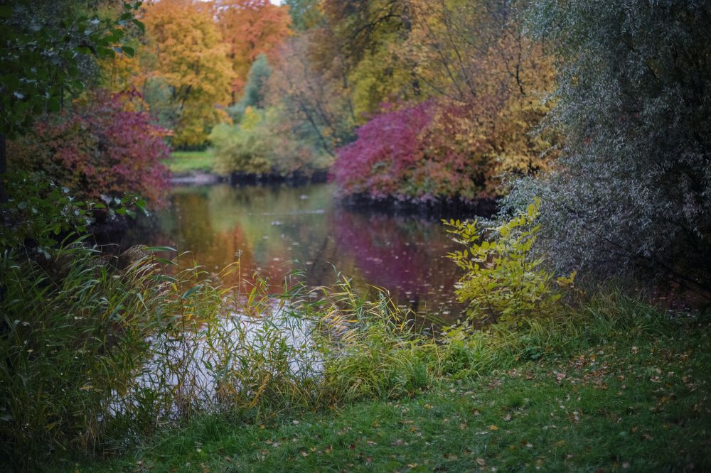 Photograph by Светлана Холодняк