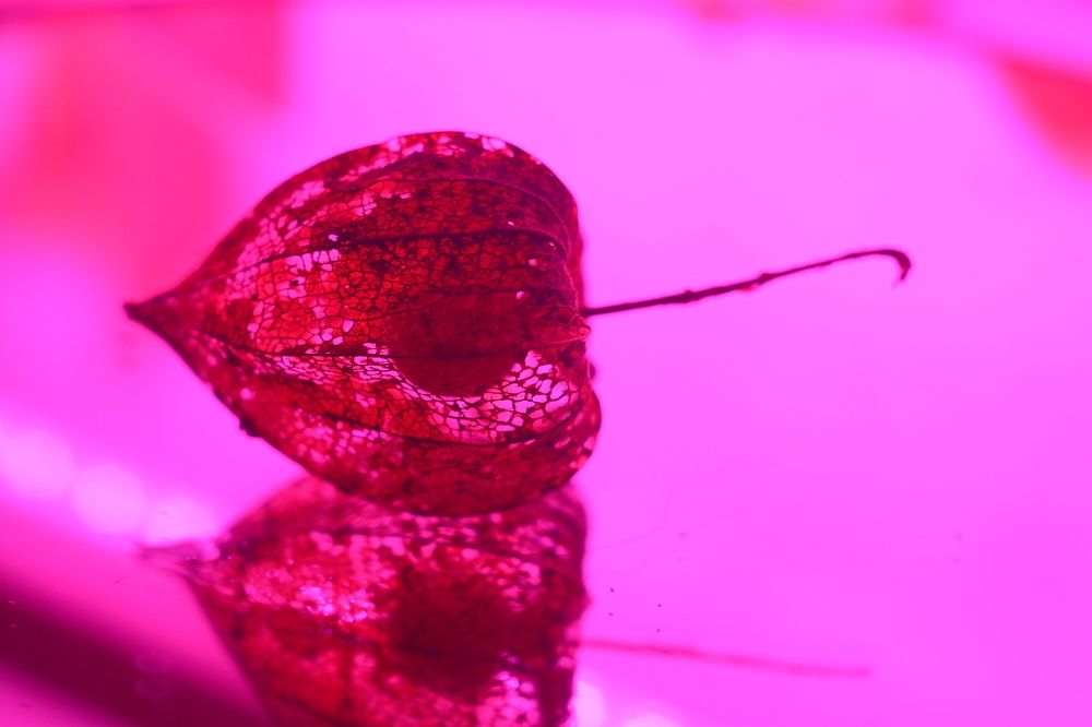 Photograph by Ольга Истомина