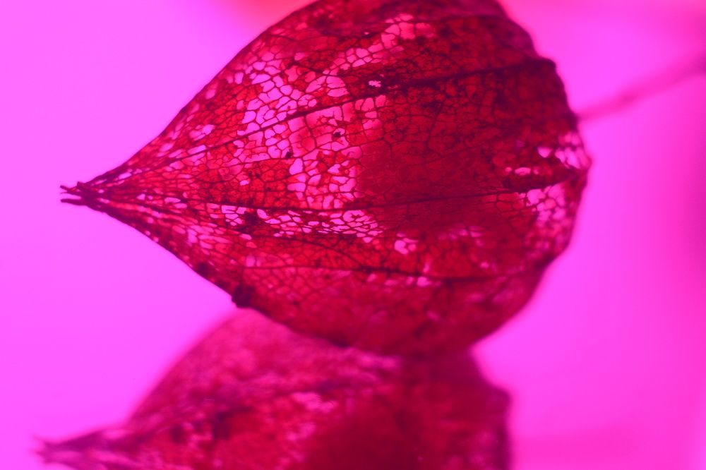 Photograph by Ольга Истомина