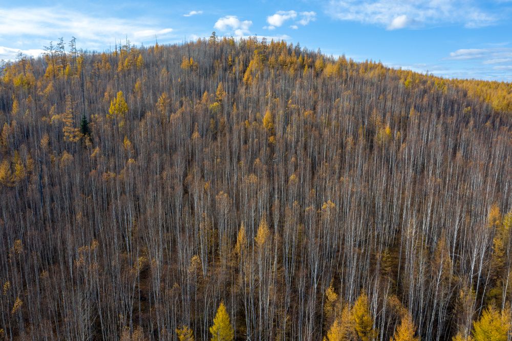 Photograph by Илья