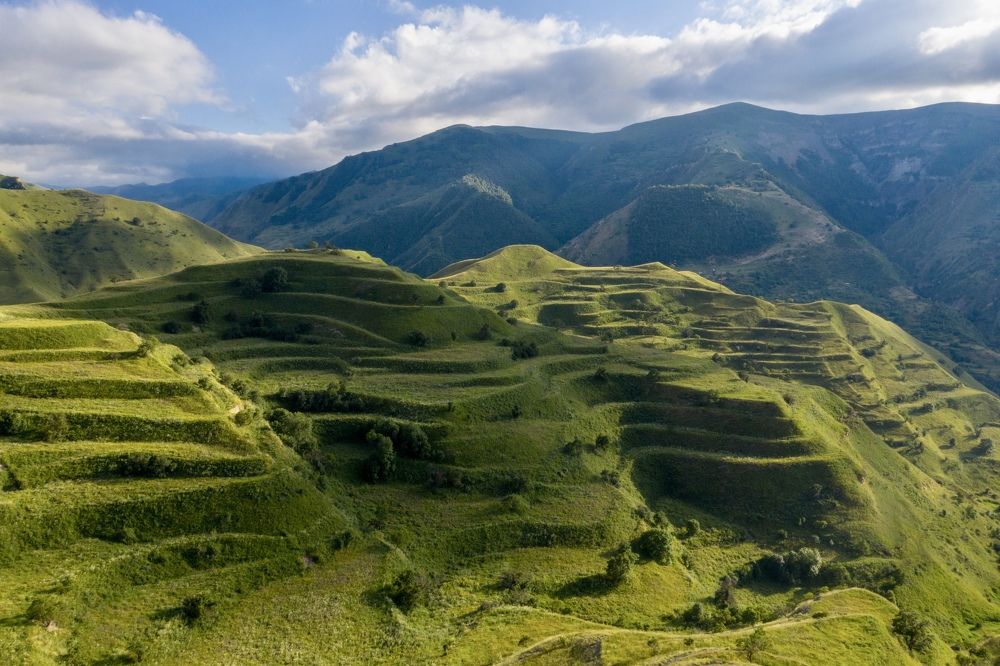 В свете есть такое чудо..