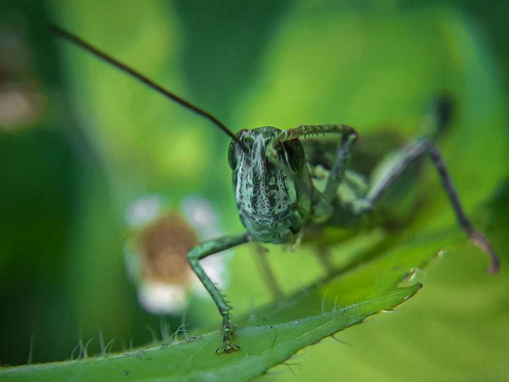 Photograph by Любовь Войтишина