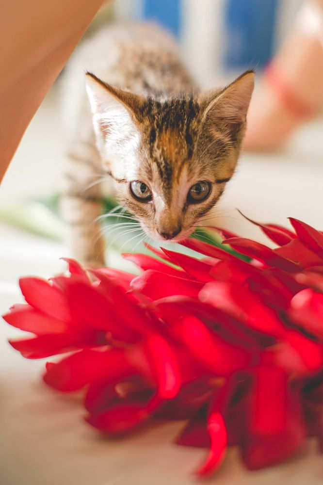 Photograph by Анна Куманцова