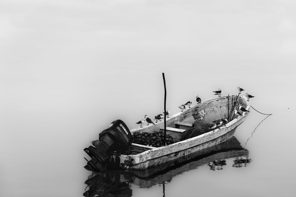 Photograph by Joaquin Silva