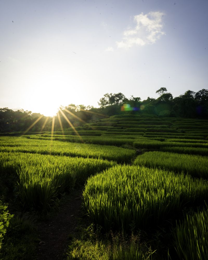 Photograph by Akshay Naik